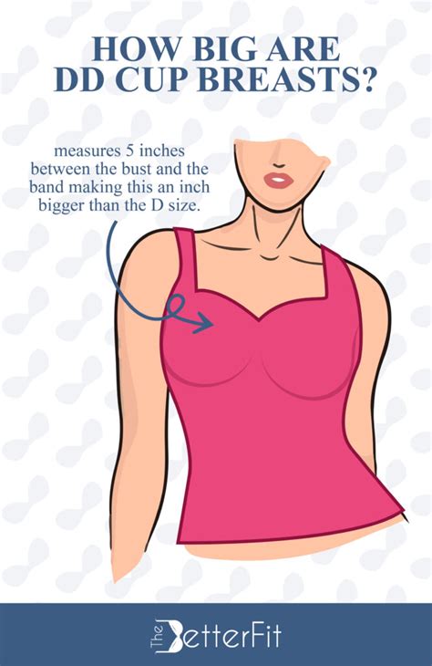 How Big Is A Dd Bra Cup Size Thebetterfit
