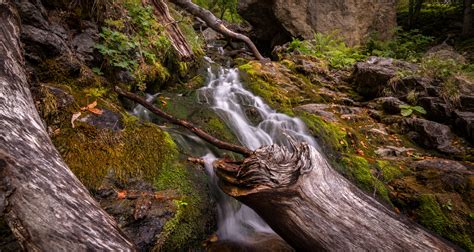 Fotos Gratis Paisaje árbol Naturaleza Bosque Rock Cascada