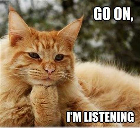 im listening kittyworks