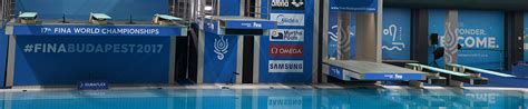 Official Fina Supplier Duraflex International Dive Stands And Boards