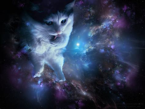 Cats In Space Zoom Background