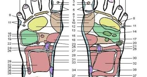 Acupressure Below You Will Find Commonly Used Acupressure Points