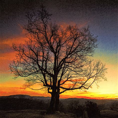 Lone Tree Sunset At Jump Off Rock Painting By John Haldane Fine Art