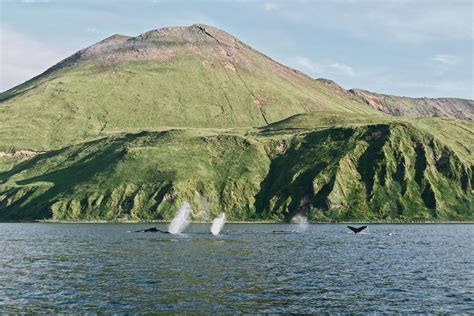 Unalaska Port Of Dutch Harbor Ak Things To Do Recreation