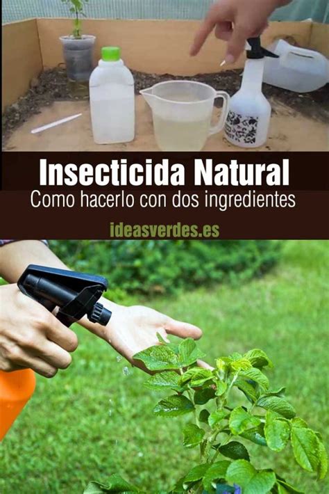 Diy C Mo Hacer Un Insecticida Natural Ideas Verdes