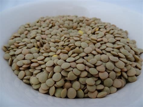 Can Parrots Eat Lentils? - Parrot Website