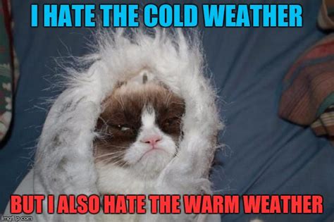 Cold Grumpy Cat Imgflip