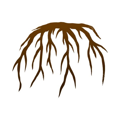 Root Tree Vector Root Tree Tree Root Png And Vector With Transparent