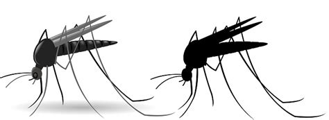 Mosquito Stock Illustration Download Image Now Istock
