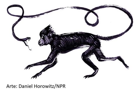 por que primatas incluindo humanos possuem tanto medo de cobras saber atualizado