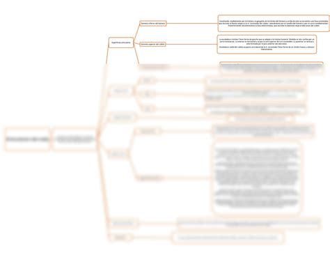 Solution Cuadro Sinoptico Articulacion De Codo Studypool