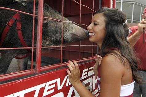 Learn more about a little rock vet by clicking view details, or enter a new zip code in the search box below to search again. 10 NCAA Colleges That Put The Animal In Animal House