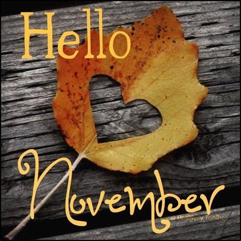 Hello November Pictures Photos And Images For Facebook Tumblr