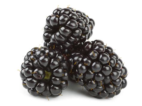 How To Select Store And Serve Blackberries The Produce Moms