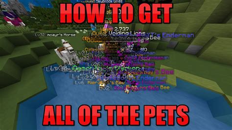 Good Cheap Pets Hypixel Skyblock - The W Guide