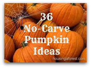 Fall is such a pretty time of year! 36 Creative No-Carve Pumpkins | Housing a Forest