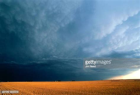 Kansas Wheat Field Photos And Premium High Res Pictures Getty Images