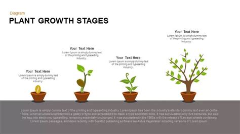 Growing Plant Powerpoint Template And Keynote Slide