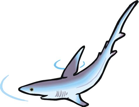 Hammerhead Shark Clipart Free Download On Clipartmag