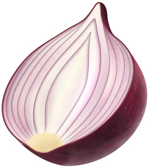 Cebolla Png