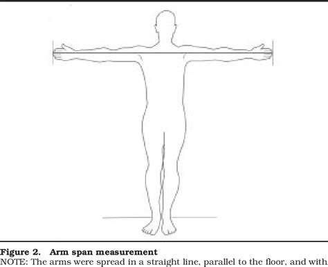 Is Arm Span An Accurate Measure Of Height In Young And Middle Age