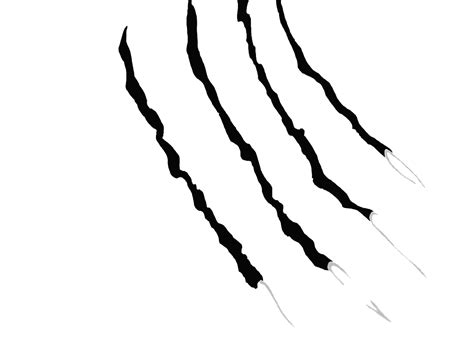 Panther Claw Marks Png Claw Scratch Tiger Claw Drawing Lion Gray