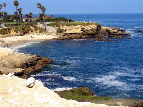 7 Best Things To Do In La Jolla California Trips To Discover