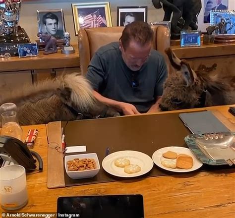 Von annemarie havran — um fbfacebook twtweet. Arnold Schwarzenegger bringt pet-Esel Lulu und miniature ...