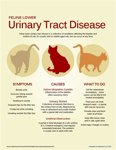 But this tiki cat recipe is far from the only product that supports urinary tract health. Think maybe your cat has a UTI? here are some signs ...
