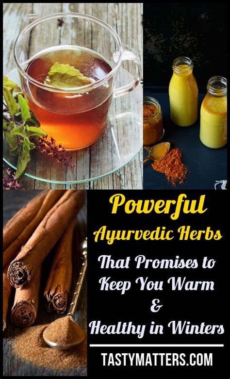 9 Powerful Ayurvedic Herbs That Promises To Keep You Warm And Healthy