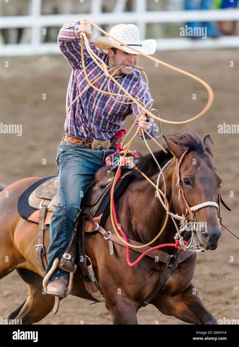 Rodeo Cowboy On Horseback Competing In Calf Roping Or Tie Down Roping