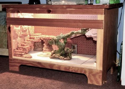 Are you a bearded dragon enthusiast? diy bearded dragon terrarium - Google Search | Pogona, Animaux, Dragons