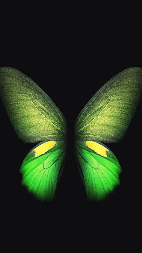 Samsung Galaxy Fold Green Butterfly 4k Wallpapers Hd Wallpapers Id