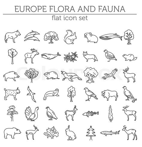 Flat European Flora And Fauna Stock Vector Colourbox