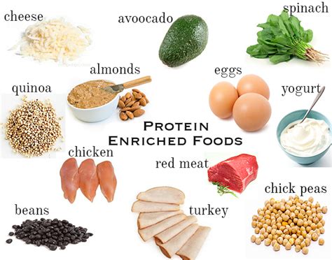 7 Reasons Why Protein Diet Is Effective For Weight Loss