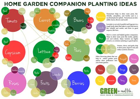 Green In Real Life Ideas For The Home Garden Companion Planting