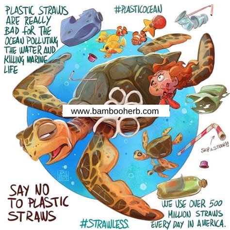 Use Less Plastic Save The Turtles Switch To Reusable Plastic Straws