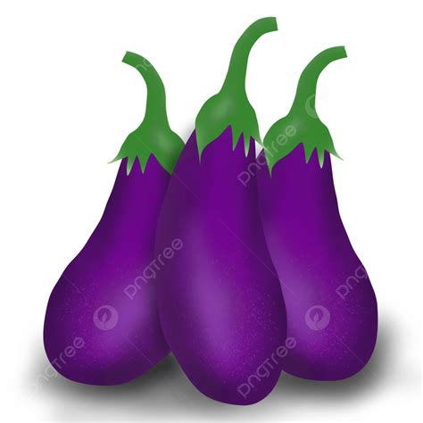 Eggplant Clipart Hd Png Hand Drawn Purple Eggplant Vegetable Art