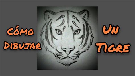 Cómo Dibujar un Tigre YouTube