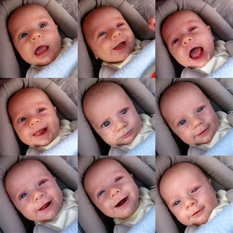 Medical director prof alaoui said that ms cissé was 25 weeks pregnant when she was admitted and his team managed to extend her term to 30 weeks. nonuplets - DriverLayer Search Engine