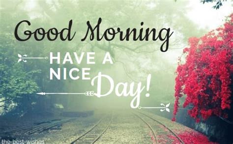 Best Good Morning Messages Wishes And Inspirational Quotes 2020