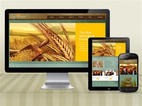 Responsive Website Design, Web Designing, HTML5 Coding