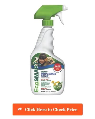 It depends upon your own experience and opinion which is best to use. Pet Friendly Weed Killer - 2019 Get Rid of Weeds & Safe ...