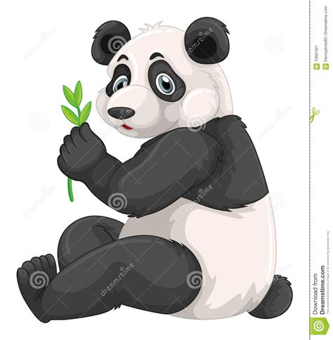Panda Chewing Green Leaves Stock Vector Illustration Of Clipart 70687421