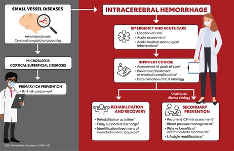 Intracerebral Hemorrhage Guidelines Aha Canada Guid Step By Step Hot Sex Picture