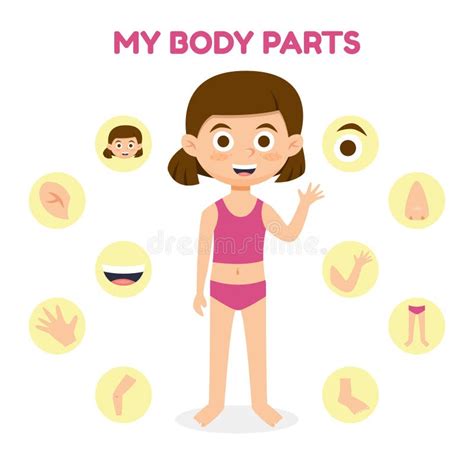Woman Body Parts Cartoon Cartoon Human Body Parts Free Vector