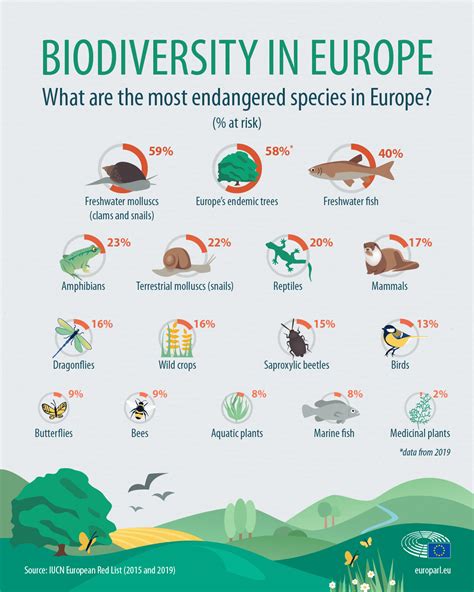 Endangered Species In Europe Facts And Figures Infographic News