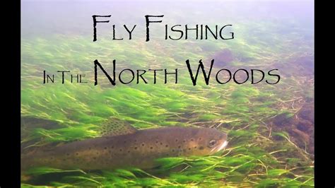Fly Fishing In Northern Wisconsin Peak Fall Colors Youtube