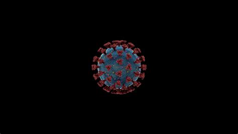 Coronavirus Covid 19 Wallpaper Hd Abstract 4k Wallpapers Images Photos And Background