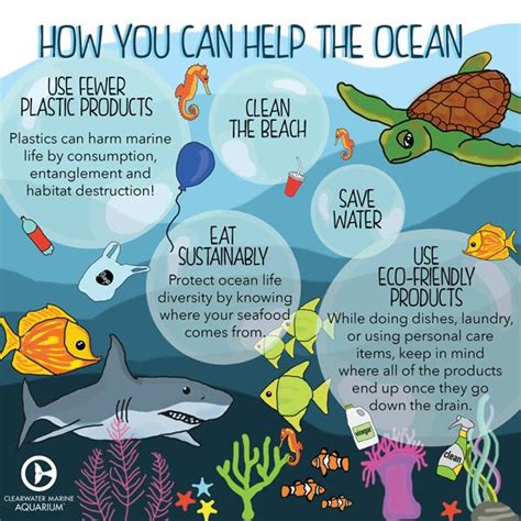 Six Ocean Friendly Habits To Help Protect Marine Life Clearwater Marine Aquarium